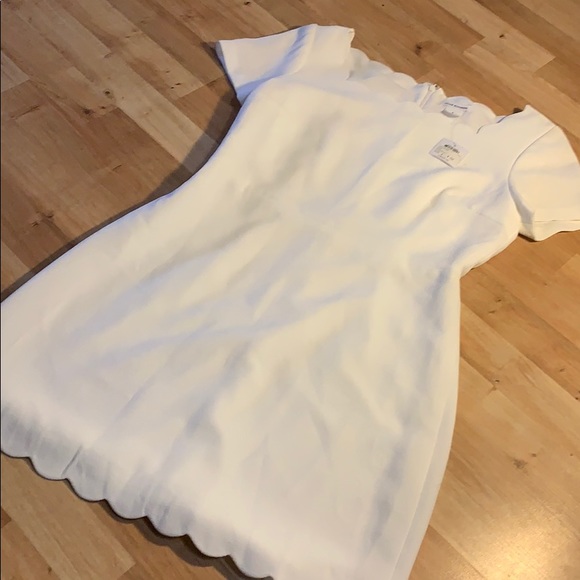 Club Monaco avaline dress sz 8 white - Picture 4 of 9